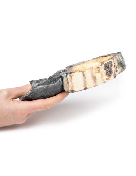 Metastasierender Tumor in der Lunge aus primärem Hodenkrebs - Erler Zimmer 3D anatomy Series MP2055