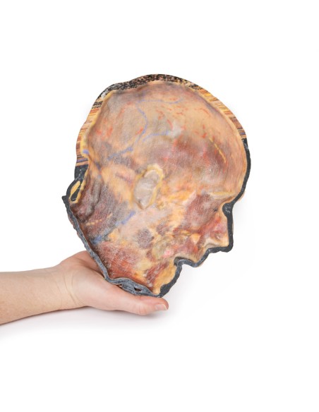 Superficial facial nerves and parotid gland - Erler Zimmer 3D anatomy Series MP1109