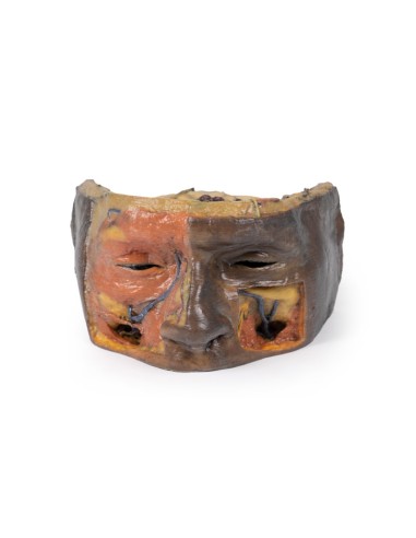 Órbita superior - Erler Zimmer 3D anatomy...