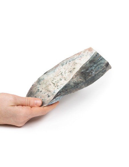 Polmonite lobare - Fase di epatizzazione grigia - Erler Zimmer 3D anatomy Series MP2061