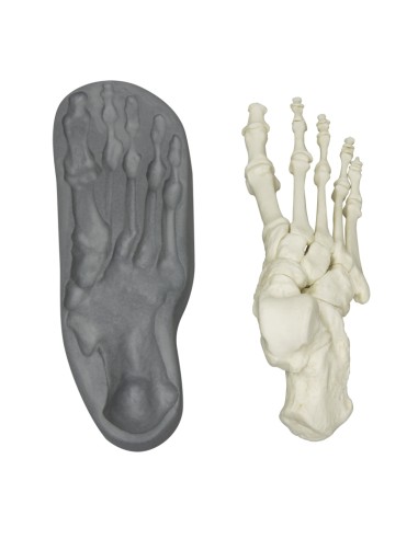 Erler Zimmer 6009 magnetic attachment foot...