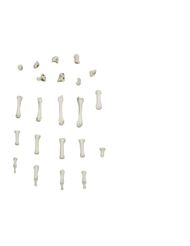 Erler Zimmer 6005 magnetic attachment hand...