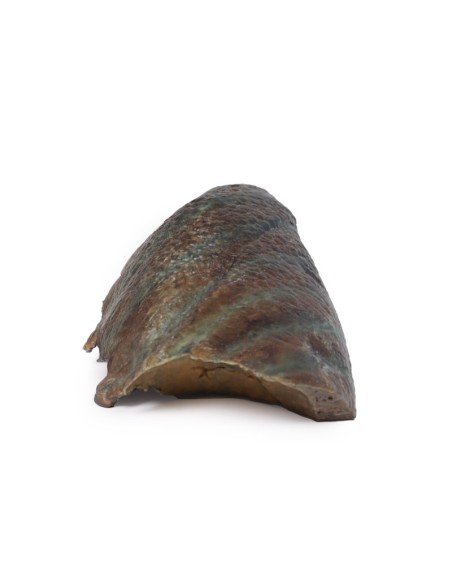 Section of lung, hilum removed - Erler Zimmer 3D anatomy Series MP1125