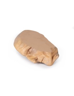 Sagittal section of the head with deep dissection - Erler... 2