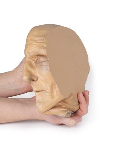 Sagittal section of the head with deep...