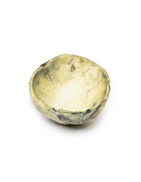 Sifilide terziaria - Erler Zimmer 3D anatomy Series MP2113