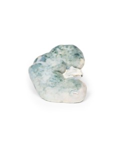 Renal Infarction - Erler Zimmer 3D anatomy Series MP2098 2