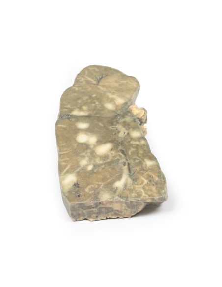 Metastasierendes Karzinom in der Lunge - Erler Zimmer 3D Anatomie Serie MP2056