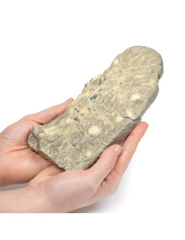 Carcinoma metastatico nel polmone - Erler...