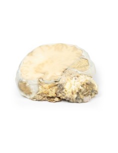 Adenoma ipofisario - Erler Zimmer 3D anatomy Series MP2006 2