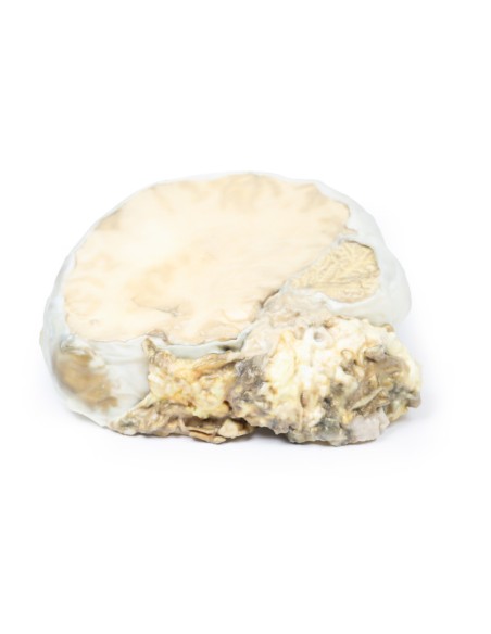 Adenoma ipofisario - Erler Zimmer 3D anatomy Series MP2006