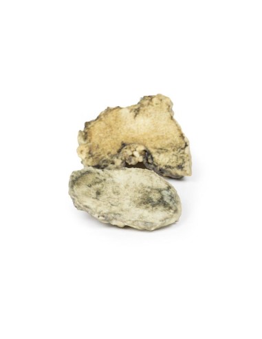 Infectious arthritis of the knee - Erler Zimmer...