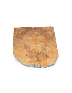 Parete addominale interna - Erler Zimmer 3D anatomy...