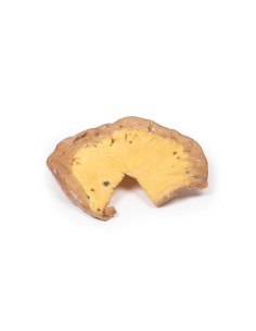 Mesenterialmetastasen eines kutanen malignen Melanoms -... 2