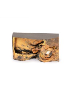 Orbita Laterale - Erler Zimmer 3D anatomy Series MP1680 2