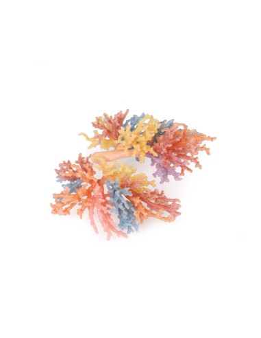 Bronchial Tree - Erler Zimmer 3D anatomy Series...