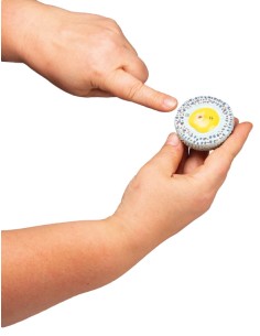 Anatomical model of Ovaia Erler Zimmer L103