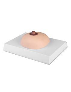 Simulatore per palpazione del seno con noduli Erler...