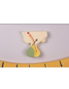 Cambios cíclicos en el equilibrio hormonal y la mucosa... 2
