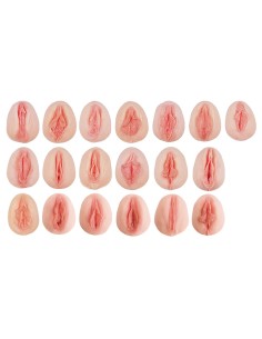 Collection of 19 silicone female vulva models Erler...