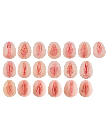 Collezione di 19 modelli di vulva femminile in silicone Erler Zimmer L222
