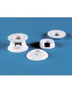 Erler Zimmer, modello anatomico funzionale di...