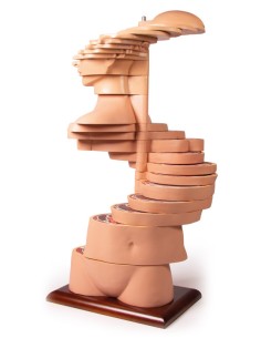 Erler Zimmer V120 Schnitttorso in Originalgröße