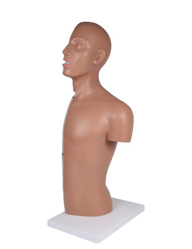 Torso per esercitazioni di sondino nasogastrico...