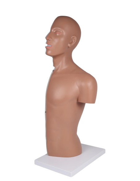 Torse d'entraînement à la sonde nasogastrique et à la trachéotomie Erler Zimmer B328