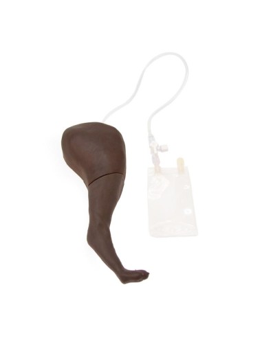 Membre postérieur de chien pour l'entraînement...