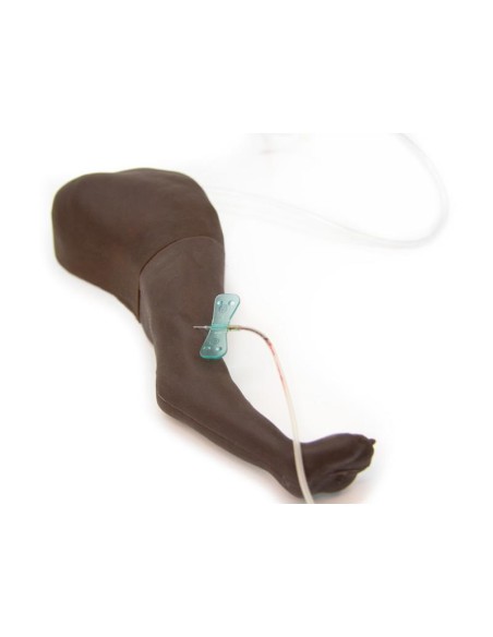 Hind limb of dog for injection training - Erler Zimmer VET2580