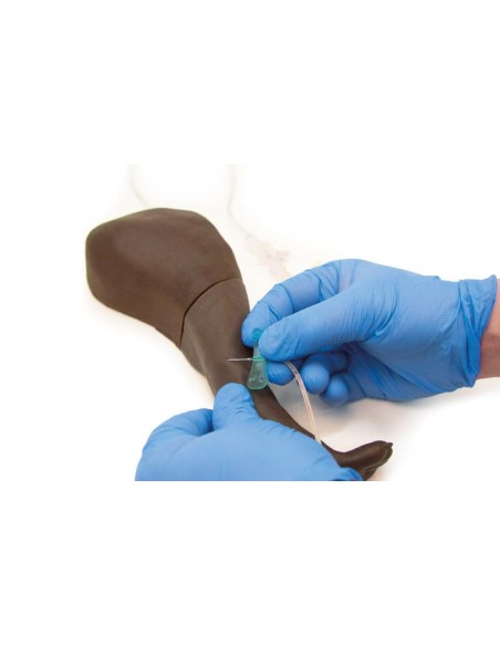 Miembro posterior de perro para entrenamiento de inyección - Erler Zimmer VET2580