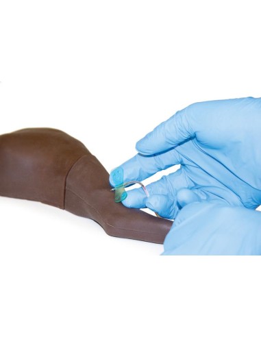 Hind limb of dog for injection training - Erler...