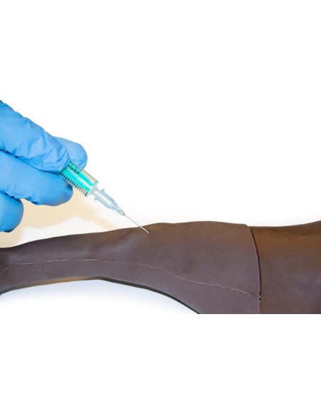 Membre postérieur de chien pour l'entraînement à l'injection - Erler Zimmer VET2580