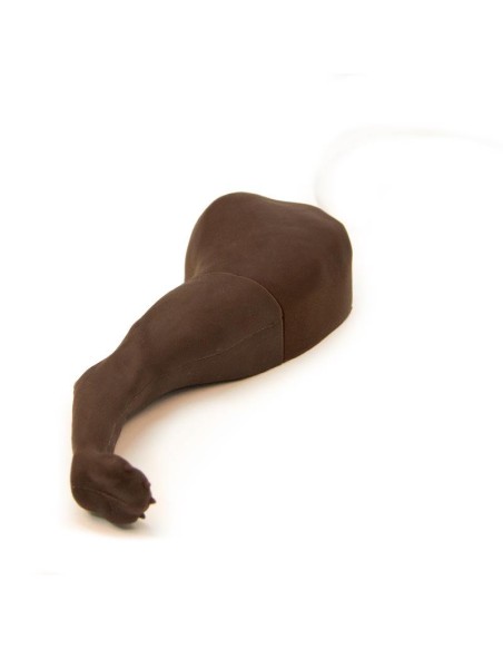 Miembro posterior de perro para entrenamiento de inyección - Erler Zimmer VET2580
