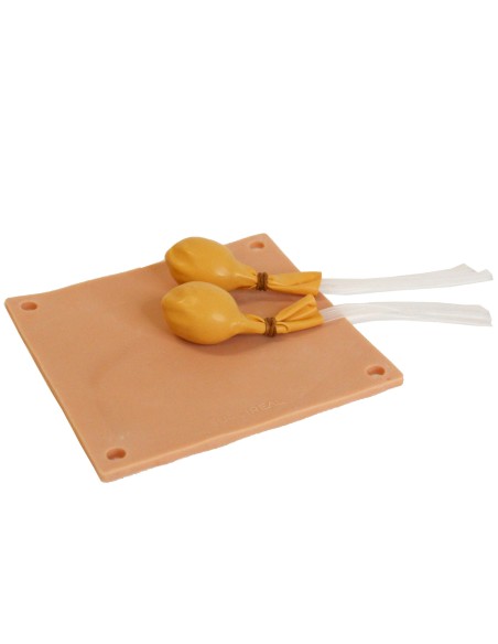 Erler Zimmer dog neutering simulator SRE0630