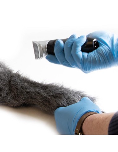 Patte de chien pour simuler des injections...