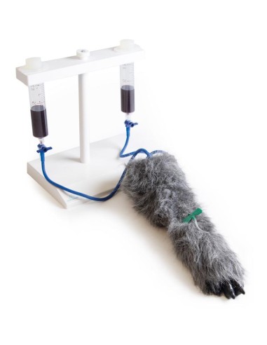 Pata de perro para inyecciones intravenosas...