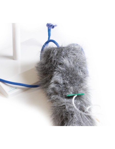 Dog paw for intravenous injection simulation VET4610