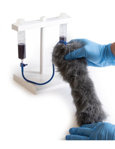 Pata de perro para inyecciones intravenosas simuladas VET4610