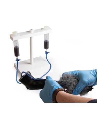 Patte de chien pour simuler des injections...