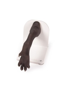 Patte de chien pour l'entraînement aux techniques de... 2