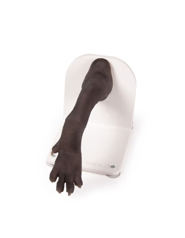 Hundepfote für die Ausbildung in...