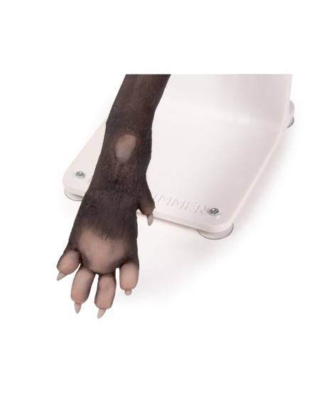 Dog paw for training in bandaging techniques VET4590