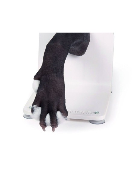 Patte de chien pour l'entraînement aux techniques de bandage VET4590