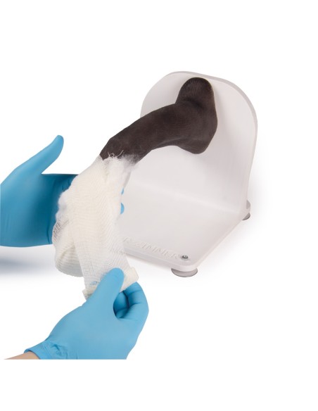 Dog paw for training in bandaging techniques VET4590