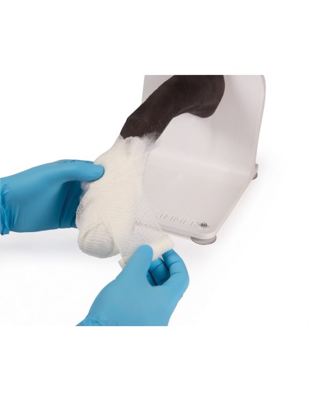 Dog paw for training in bandaging techniques VET4590