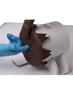 Simulateur de toucher rectal pour chien - Erler Zimmer... 2