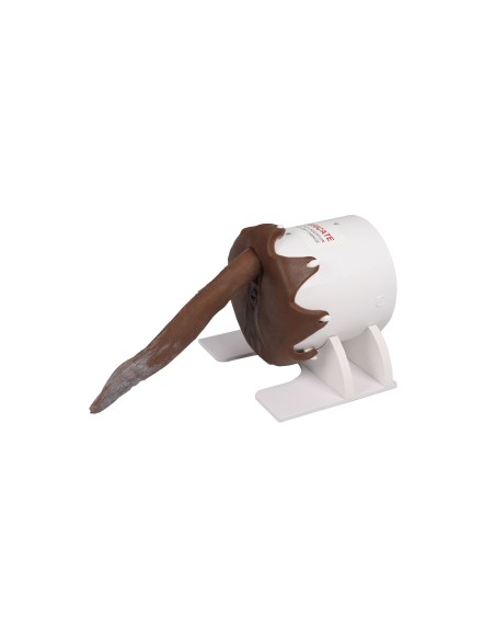 Simulateur de toucher rectal pour chien - Erler Zimmer VET4650