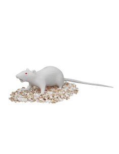 Souris factice Natsume EZ VET4230 2